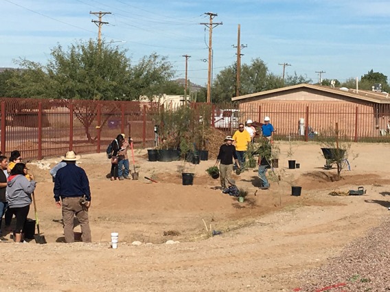 Green infrastructure work at Star Academic High School in Tucson